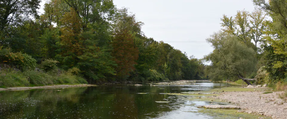 Une rivière calme bordée d’arbres.