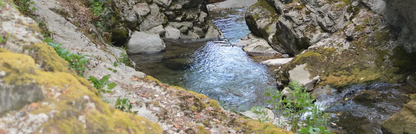 Une rivière claire traverse des rochers sombres dans la lumière du soir